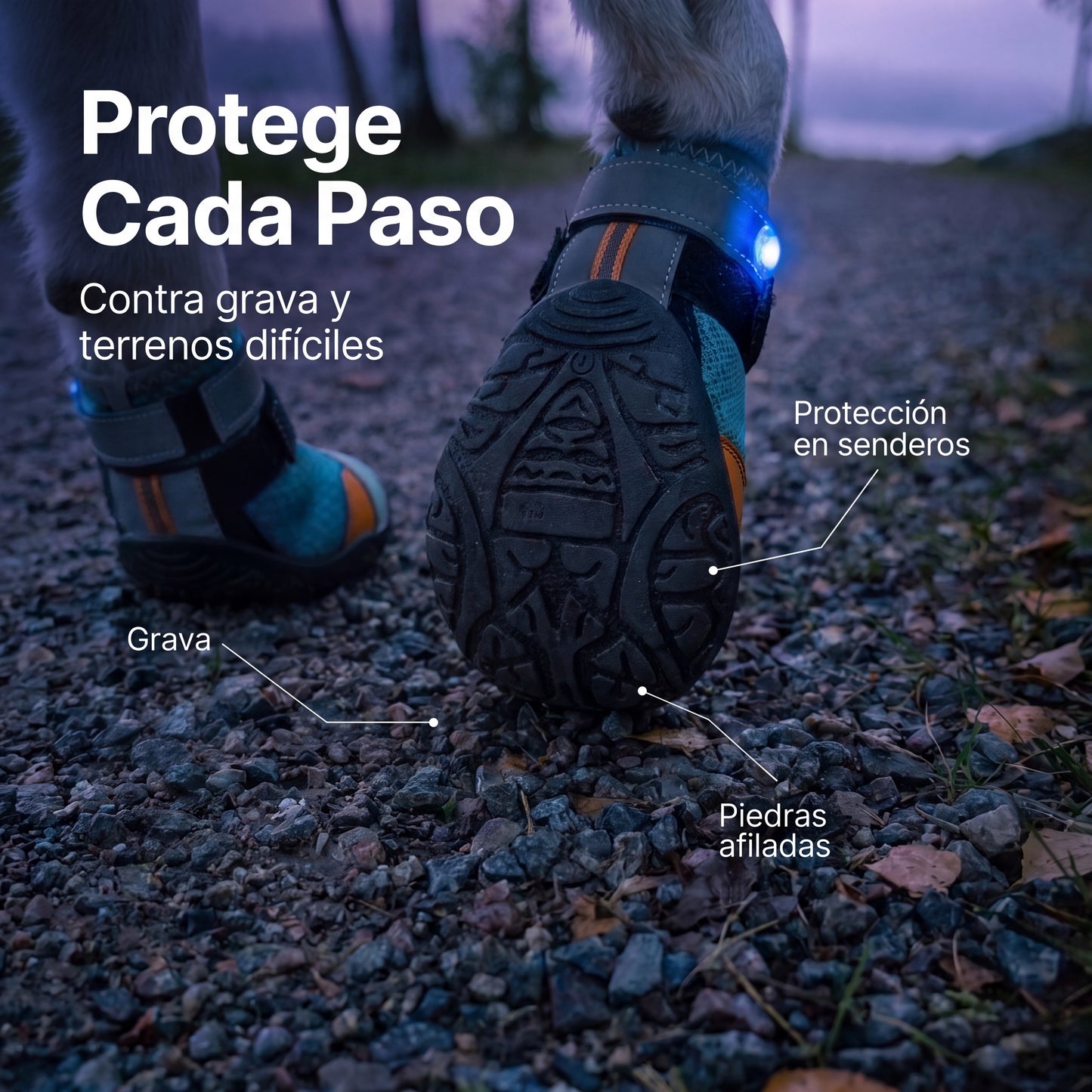 Botas para Perro con Luces LED