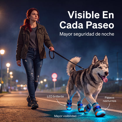 Botas para Perro con Luces LED